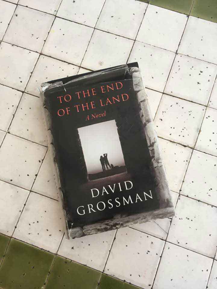 Copy of David Grossman