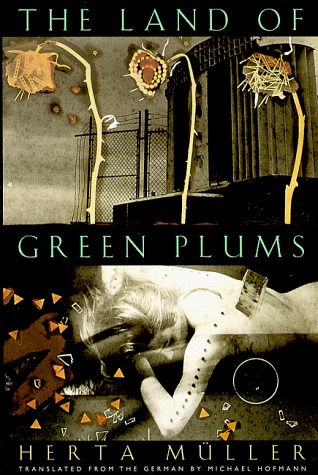 Cover of the land of green plums