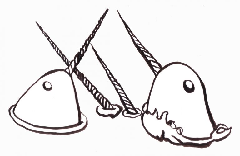 A narwhal pod, drawn by Teva Harrison