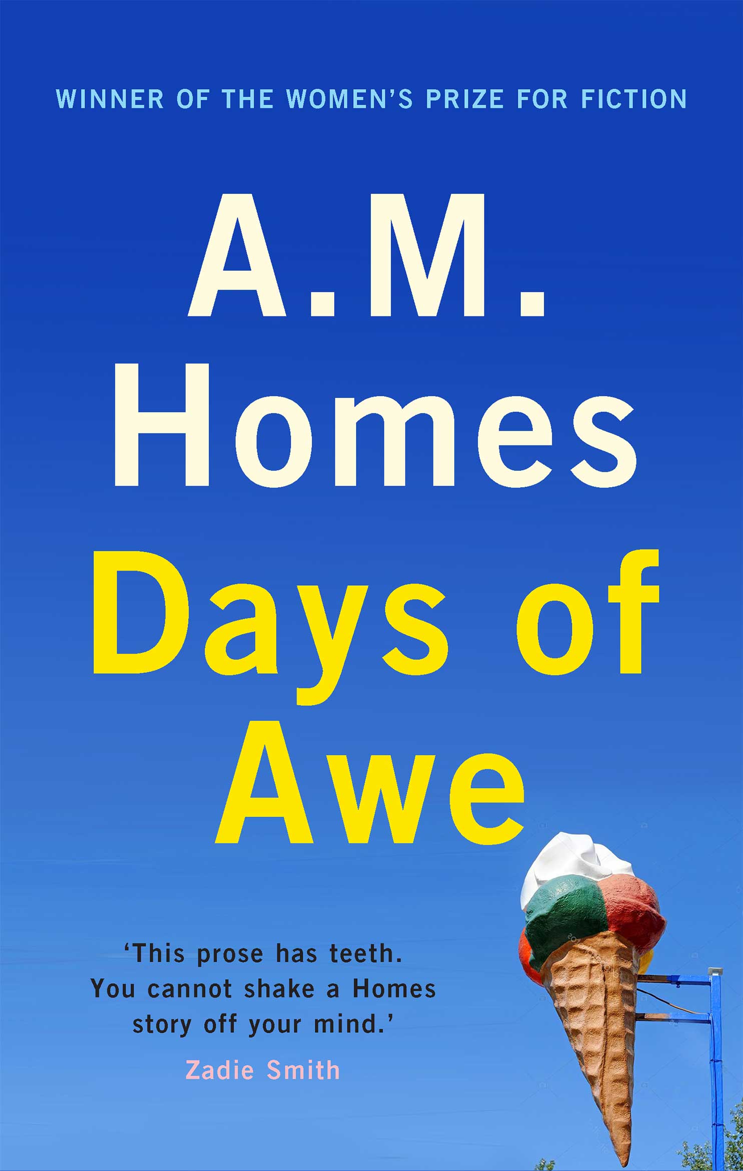 Days-of-Awe AM Homes