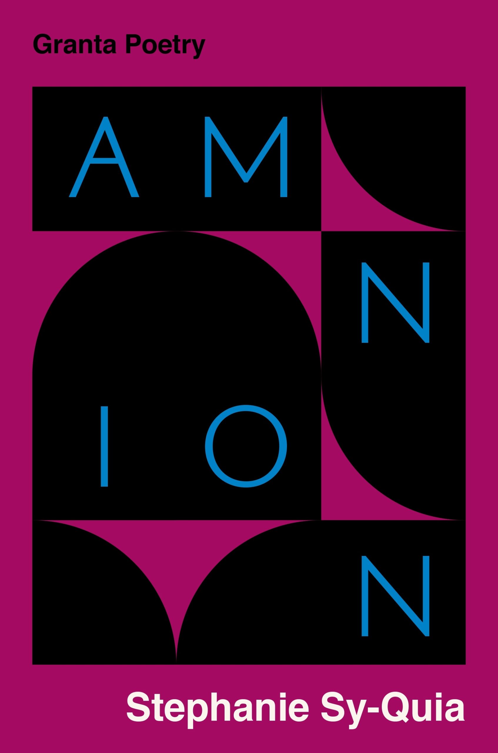  <em>Amnion</em> announced as winner of Eric Gregory and Somerset Maugham awards